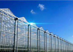 Wholesale Hollow Glass Style Agricultural Greenhouse With Hot Galvanized Steel Frame from china suppliers
