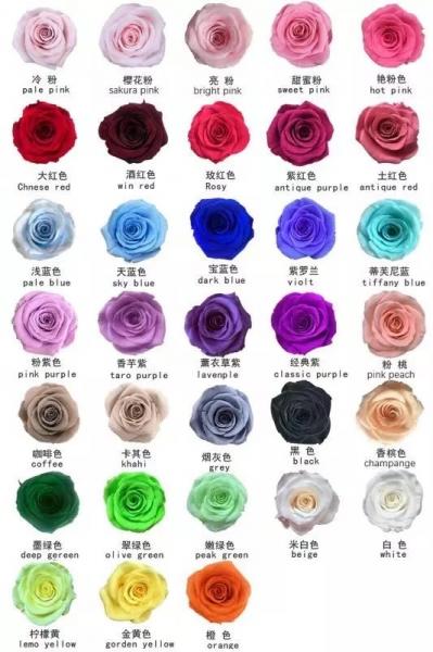 Beautiful Preserved Real Flowers Eternal Roses gift Fresh real roses