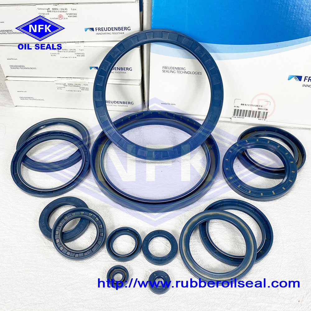 Original Germany Cfw Oil Seal 45 62 7 Spot Goods Ntr Oil Seal Low Price Hydraulic Oil Seals