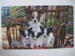 Printed Door Mats,Rubber door mat,Printed rubber mat