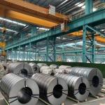 Regular Spangle Galvanized Gi Sheet Coil Steel Cold Rolled SGCC DX51D DX52D