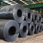 Cold/Hot Rolled Stainless Steel/Galvanized/Aluminum/Carbon Steel/PPGI/PPGL Steel
