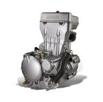 300cc Motorcycle Tricycle Engine LIFAN/LONCIN/ZONGSHEN/DAYANG Shift Gears