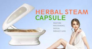 China 6 In 1 Dry Steaming Wet Steamed PDT Infrared SPA Capsule Machine 2100w on sale