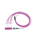 LC MTP / MPO OM4 50 / 125 Magenta 12 Core Multimode Fiber Optic Cable LSZH