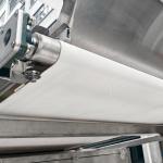 Stainless 304 Food Grade Hopper Lingonberry Color Separating Machine
