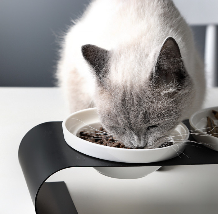 Elevated Ceramic Dog Cat Bowls for Food and Water