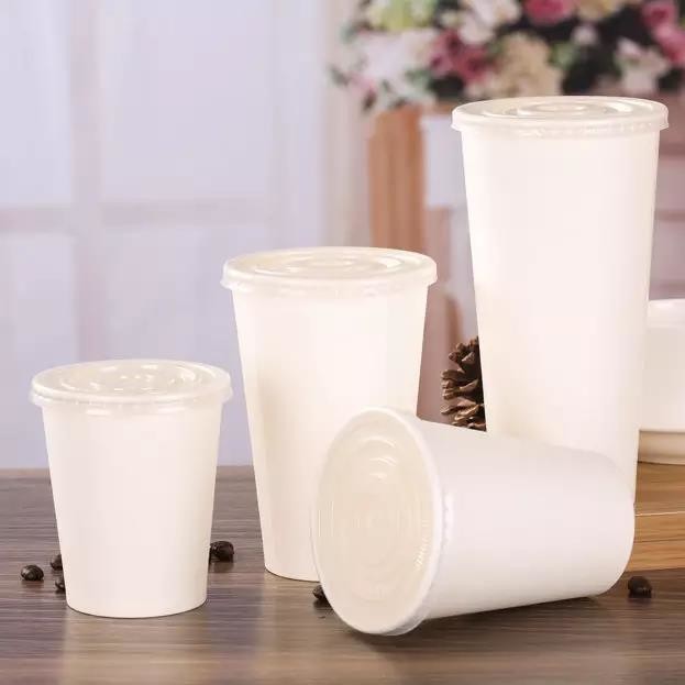 Competitive Price Take Away 28oz Recyclable White Paper Water Cups