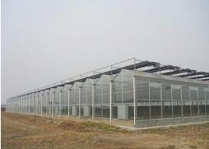 Wholesale Agriculture Clear Polycarbonate Greenhouse Good Heat Preservation Effect from china suppliers