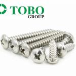 DIN7983 SS304 Oval Head Self Tapping Screws M3.5 M4.2 Stainless Steel 304 Head