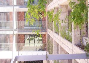 Wholesale SS304 316 Wire Rope Plant trellis Climbing Stainless Steel Mesh from china suppliers