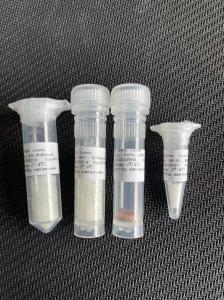 Wholesale New Products CTnI Cardiac Troponin I Kit Fluorescence Immunoassay For IVD Device from china suppliers