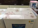Residential Twin Tub Extra Large Top Load Washing Machines With Hidden Panel