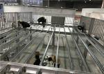 Lightweight Steel Structure Platforms For Exhibition