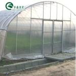 Tunnel Greenhouse Choose Customizable Size Single-Span Agricultural Greenhouses