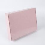 Express Mailable Gift Boxes Packaging Apparel Aircraft Shipping Support