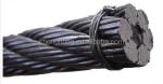 3-80mm Diameter Bright or Galvanized Steel Wire Rope for Cold Heading Steel