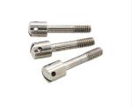 Precision Slotted Capstan Captive Screws DIN 404 ISO-Compliant Threaded