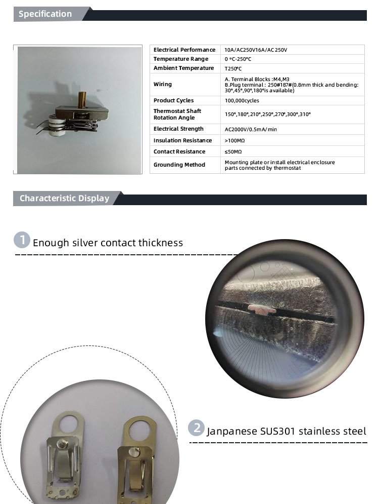 VDE 250V / 12A Electric Stove Thermostat with 5C% Tolerance and Temperature Control