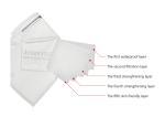 CE FDA KN95 Earloop Face Masks