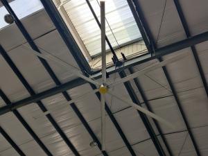 Wholesale 3.6M 12ft Commercial Electric High Ceilings Large HVLS Fans from china suppliers