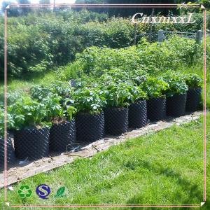 Wholesale Eco Friendly Ventilated 0.5mm PVC Air Root Pruning Pot For Seed Planting from china suppliers