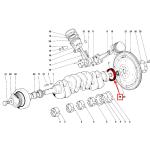For Ferrari 360 430 456 550 F40 F50 Enzo California Rear Crankshaft Seal OEM