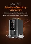 Professional Big Canister Table Top Freshly Ground Coffee Vending Machine