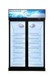 Excellent Performance Frost Free Glass Hinge Door Vertical Display Freezer