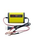 Gooa quality smart 12V 8A 24V 4A Car Motorcycle Battery Charger Pulse Repair Agm