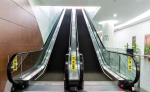 Wholesale VVVF Drive Shopping Mall Escalator Fuji Indoor Automatic Escalator from china suppliers