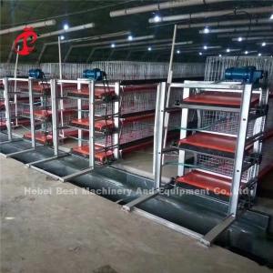 China Automatic 4 Tiers H type Broiler Chicken Cage For Meat Chicken Farm Ada on sale