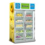 1100V Vegetable Vending Machine DEX System Gravity Sensing Screen Free