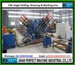 CNC Angle Drilling and Marking Line Used in Transmission Tower Industry (BL2532)