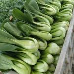 AD Chinese Cabbage Dried Green Stalk 10*10mm Dehydrated Green Stalk First Grade