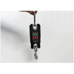 Wholesale Multi Units Conversion Electronic Crane Scale With Overload Protective System from china suppliers