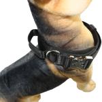 40 Inch 32 Inch Cute Dog Collars 30cm 75cm X Xs Xl Personalized Dog Collar