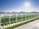 Plant Growth Multi-span Glass Skeleton Greenhouse with Customizable Length up to