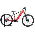 Charging Time 3 Hours Domanca/OEM City Bike Model E Bike Electric Bicycle for