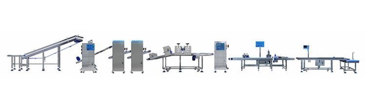 10in Raw Pizza Food Production Lines Unbaked Pizza Dough Making Machine