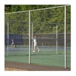 Hot Dipped Galvanized PVC Coated Farm Fence Chain Link Fence for Agricultural