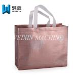 Best Quality Aluminum Film Laminating Non Woven gift Bag With tension test