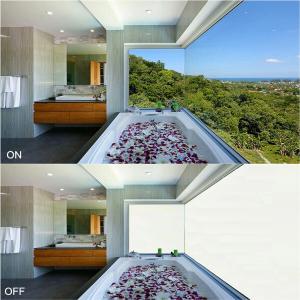 China electric frosted glass door on sale