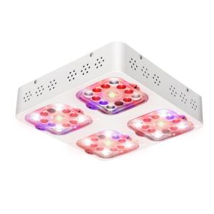 Wholesale SMD3030 800nm P120 120W COB LED Grow Lights from china suppliers