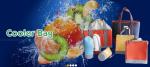 Double Bottle Insulation Breastmilk Cooler Bag Insulated Lunch,backpack beer