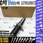 Injector Assembly 6I-3075 7C-4175 7C-2239 OR-3051 7C-4174 For Caterpillar 3516