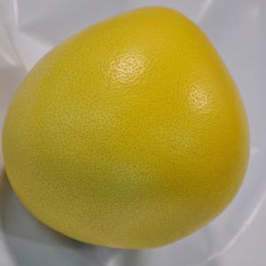 Wholesale 2020 Crop Fresh Honey Pomelo Fast Fresh Food For Lungs / Throat / Blood Circulation from china suppliers