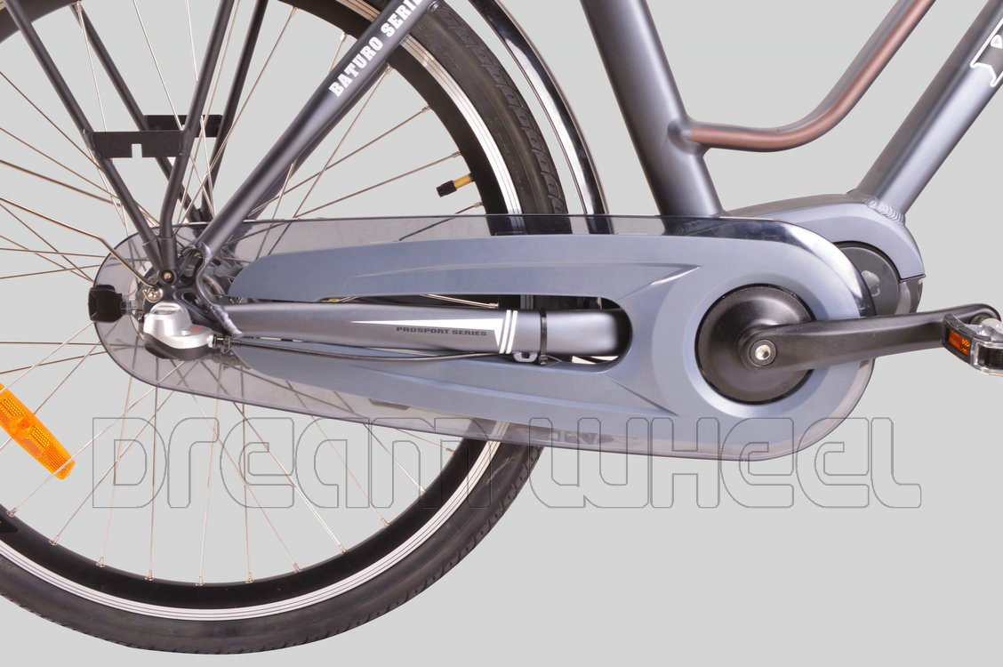 250W 36V Urban City Electric Bike 7.8Ah Samsung Cells