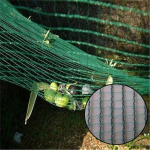 China Knitted agriculture olive tree net for catching olive on sale