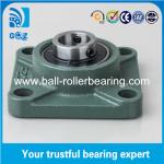 Green 40mm Pillow Block Bearing Low Friction Chrome Steel With Cast Iron Housing
